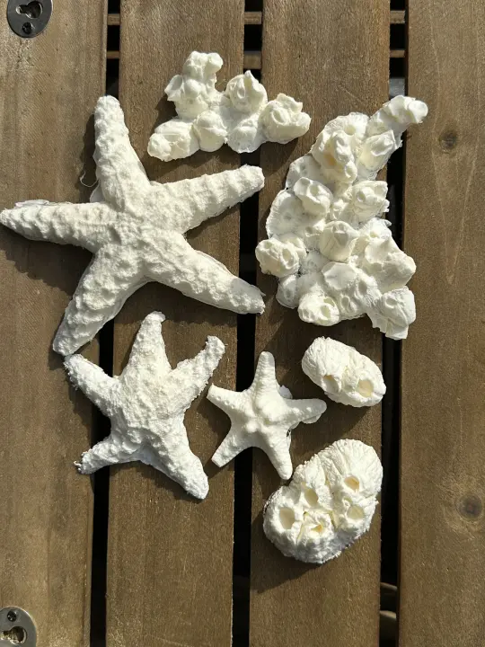 Foam Latex Sea Prosthetics