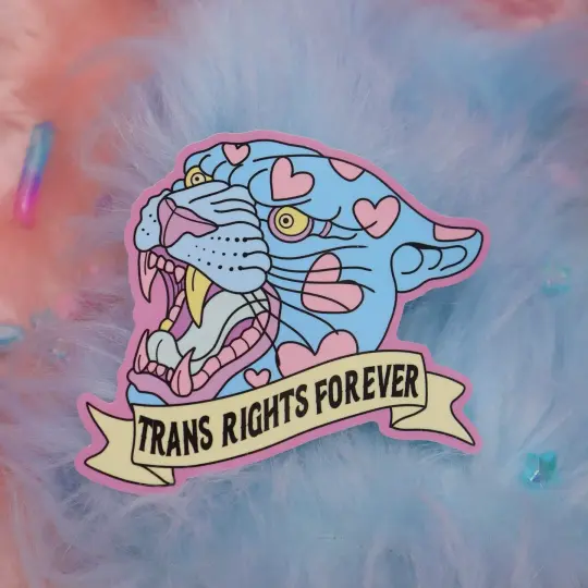 Trans Rights Forever Large Vinyl Sticker