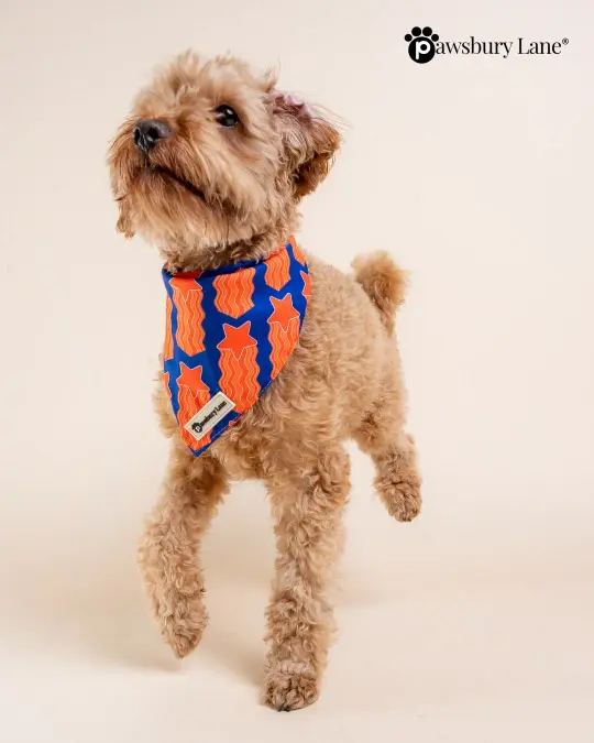 Game Day - Bandana