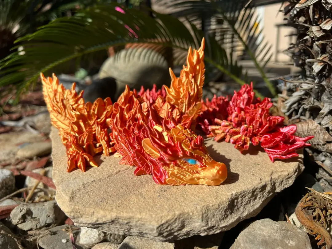 Phoenix Dragon