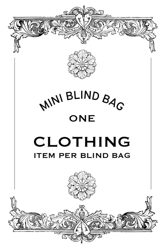 Mini Blind Bag