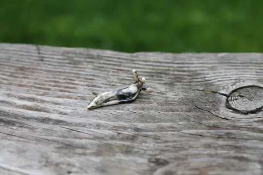 Miniature Black And Ivory Glass Slug Figurine - Lampwork Art