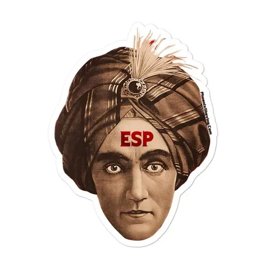 ESP BBS Vinyl Sticker | Available in 3 Sizes