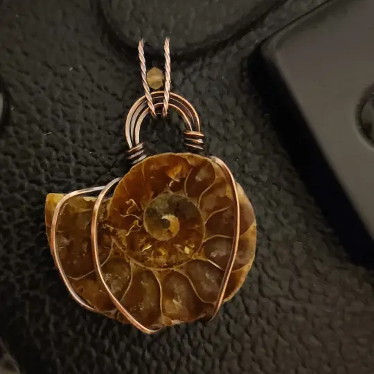 Energy Flow - Ammonite Pendant in Copper