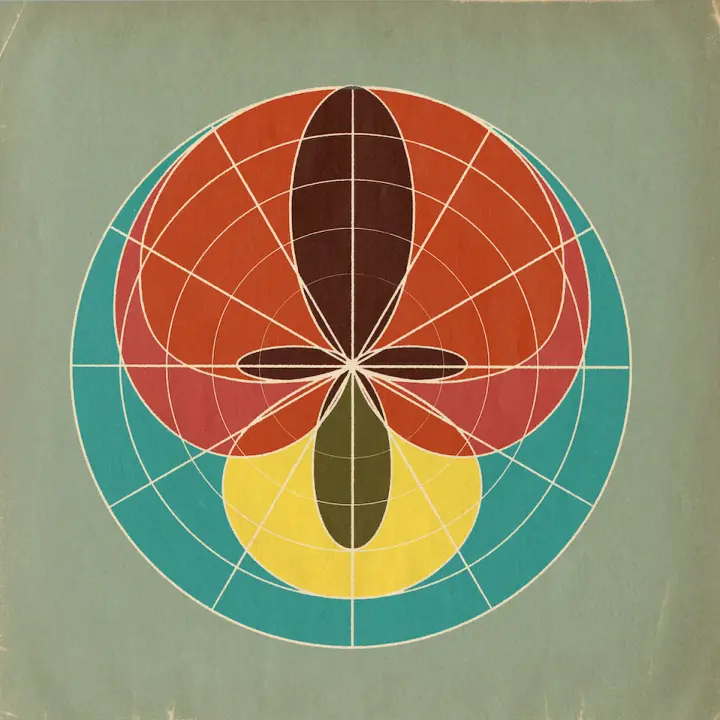 Analog Prints Polar Patterns 18"x18" Print