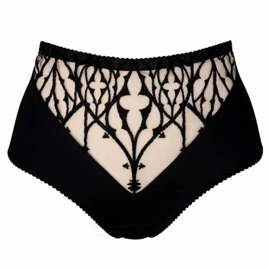 SANCTUARY EMBROIDERY HIGH WAIST BRIEF