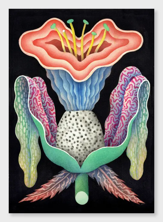 Indignant Flower (50 x 70)