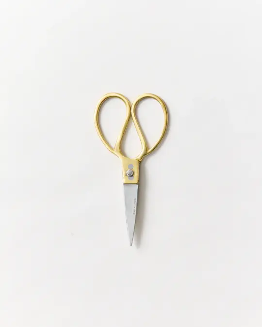 Brass & Steel Utility Shears
