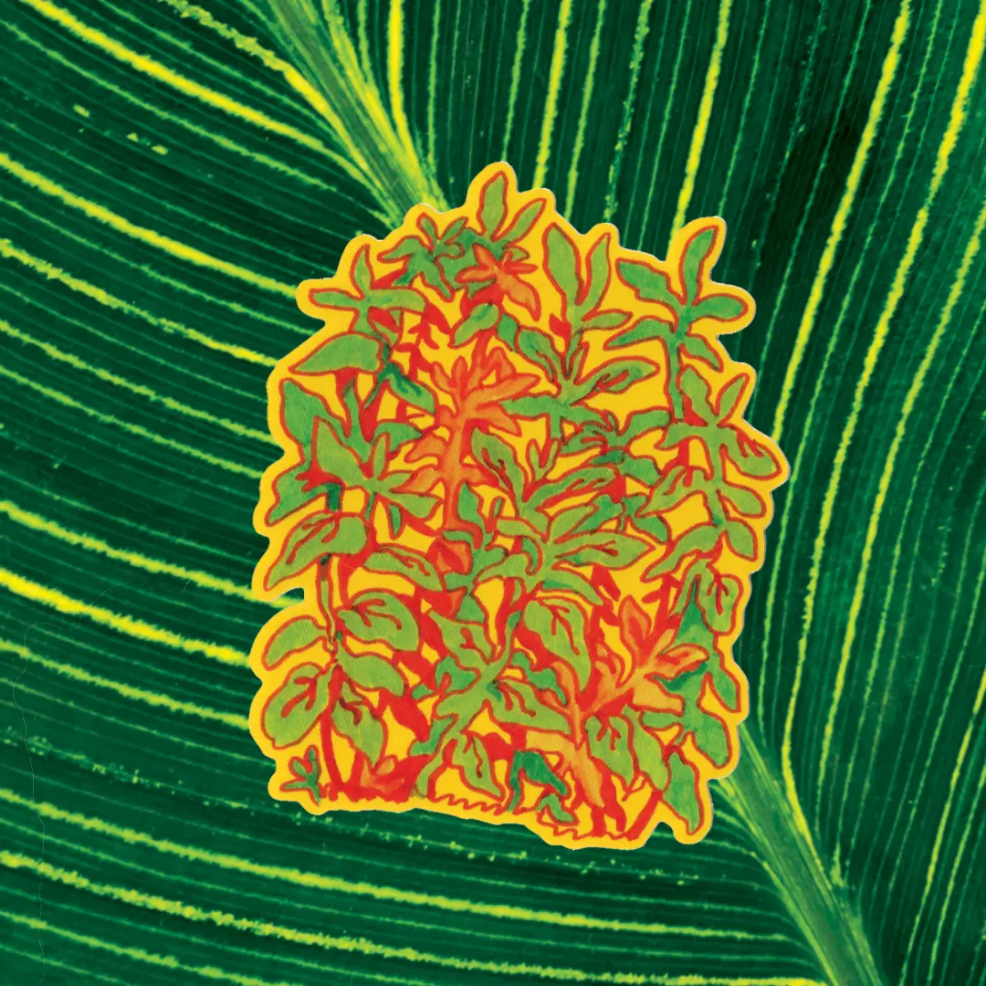 plantyplant sticker