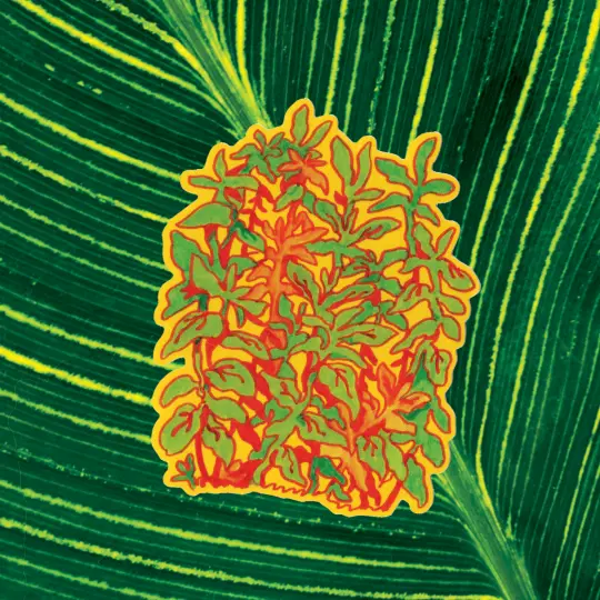 plantyplant sticker