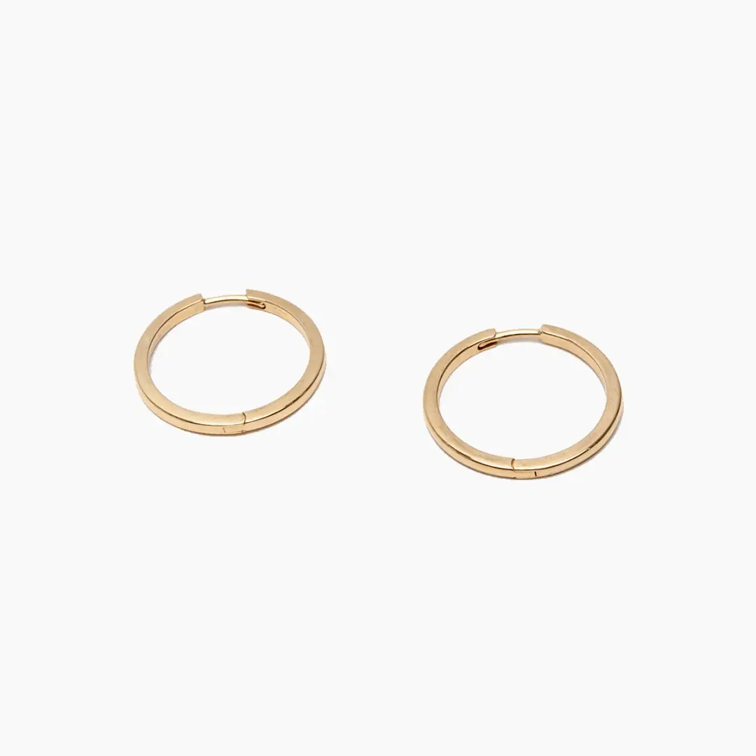 Hinged Hoop Earrings