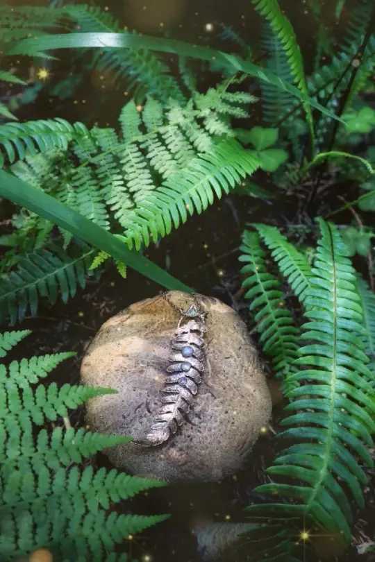 Secret Garden Fern