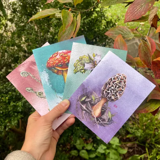 Rosalie Haizlett Illustration - Forest Treasures  - Set of 4 Assorted Greeting Cards