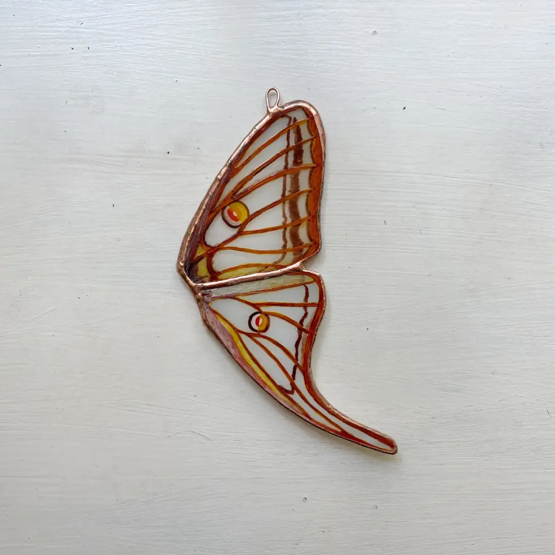 Spanish Moon Moth Wing