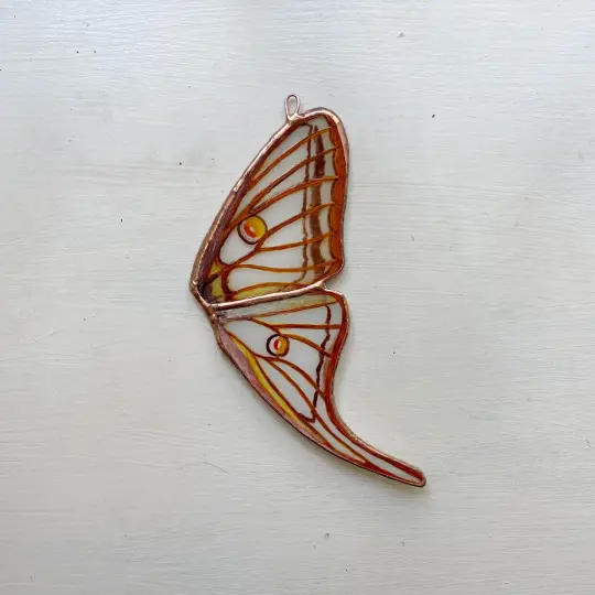 Spanish Moon Moth Wing