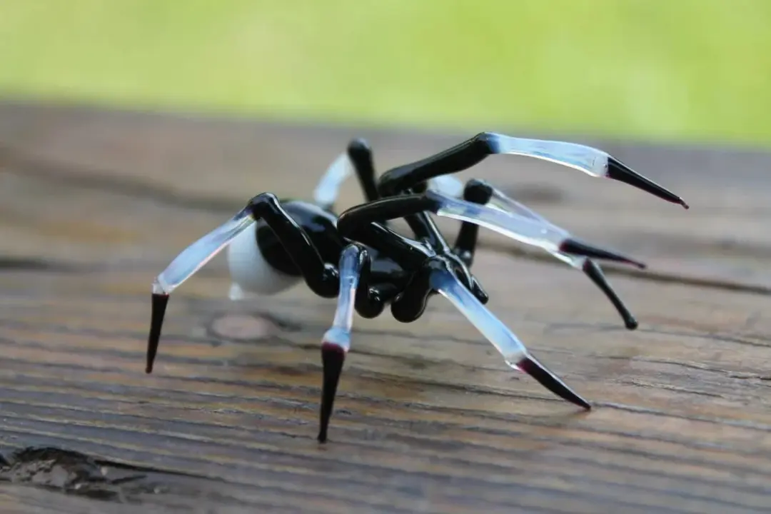 Black Glass Spider With Clear Legs – Murano Lampwork Figurine Gift