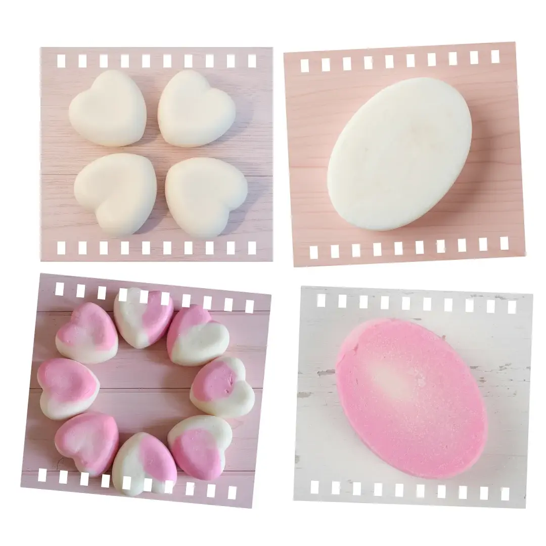 Shampoo and Conditioner Bars