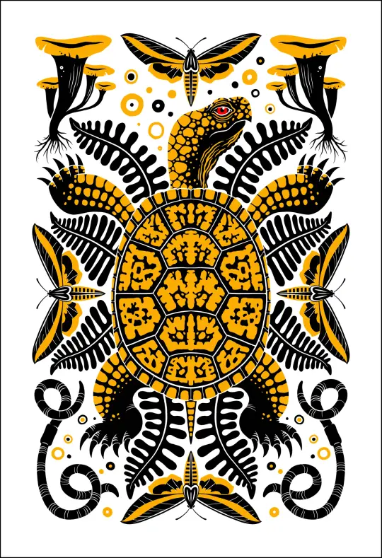 Box Turtle Print