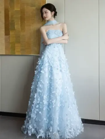 Applique Silky Corset Prom Gown , Pale Blue Women's Maxi Evening Dress RS2393