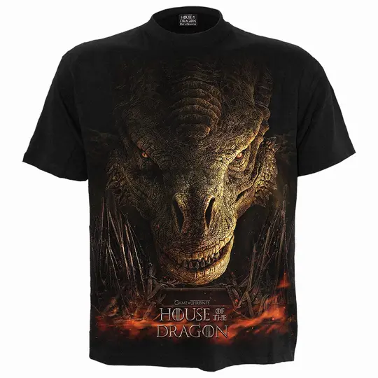 House of Dragon Throne T-Shirt Black - Fantasy Dragon Tee - Medieval Gothic Shirt