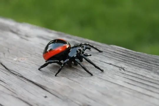 Black Spider Figurine With Red Stripe – Murano Glass Art Decor