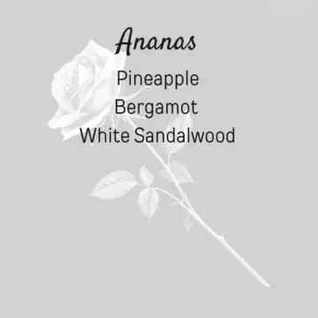 Ananas