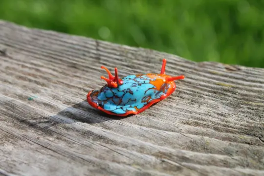 Bright Turquoise And Orange Glass Sea Slug Figure