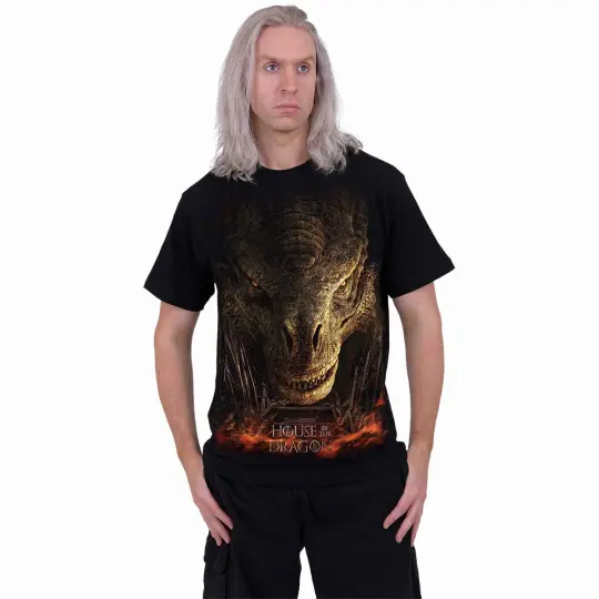 House of Dragon Throne T-Shirt Black - Fantasy Dragon Tee - Medieval Gothic Shirt