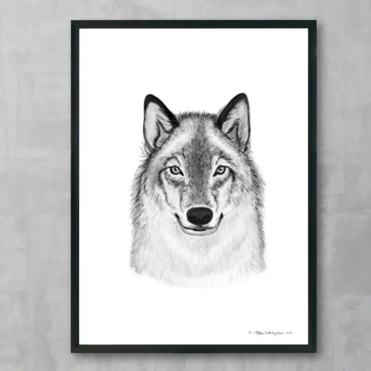 Timberwolf Fine Art Print