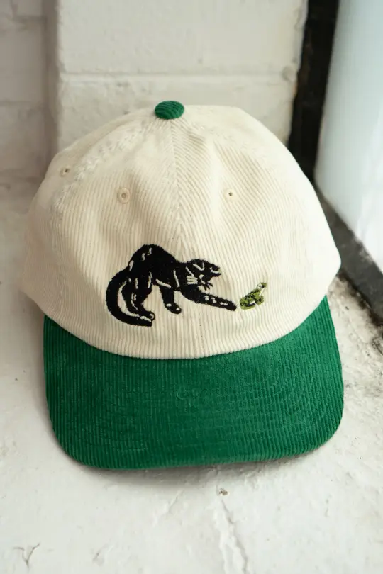 Frenemies (Cat & Frog) Two-Tone Corduroy Dad Hat