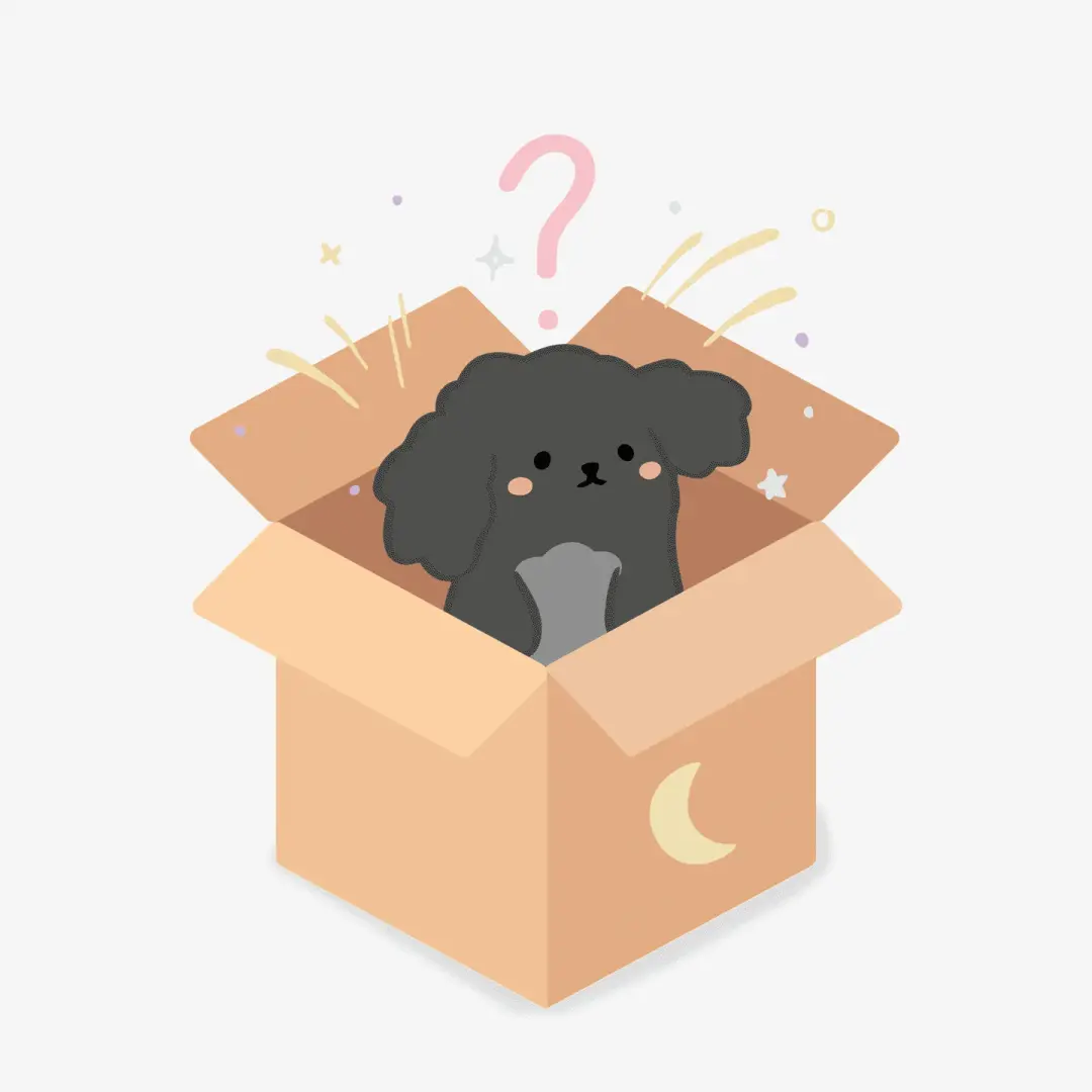 Mystery sticker set!