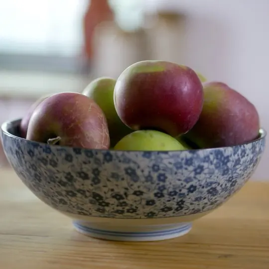 8" Trade Porcelain Serving Bowl