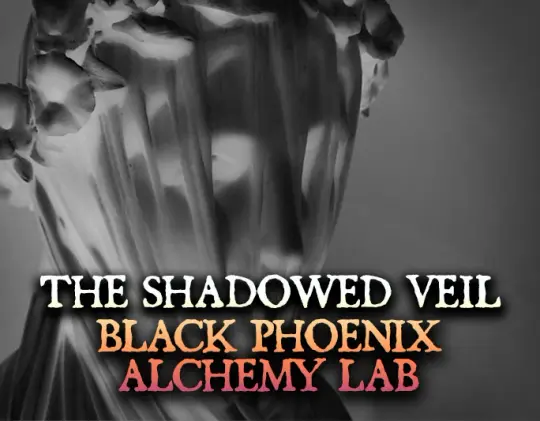 The Shadowed Veil 2025