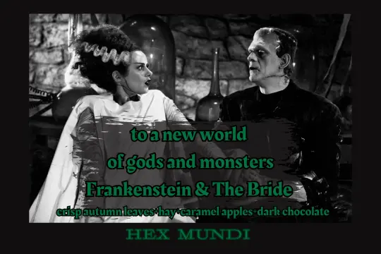 Frankenstein & The Bride Hand & Body Wash ~ Autumn Horrors Collection