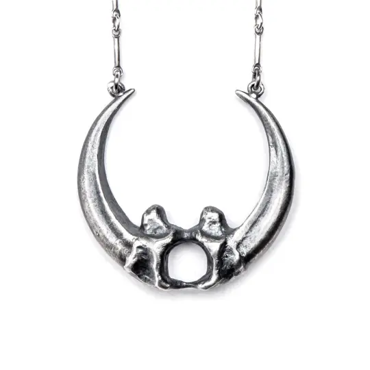 Hecate's Diadem. Owl Talon Necklace.