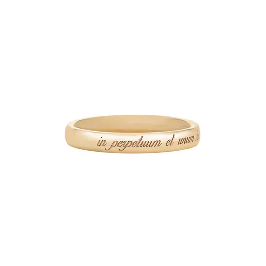 Forever Ring - 3mm