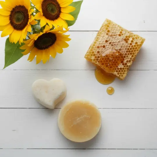 Shampoo Bar + Conditioner Bar Discovery Set