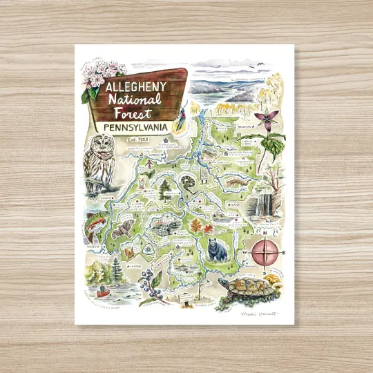 Allegheny National Forest Illustrated Map
