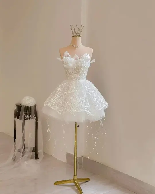 White tube top waist embroidered classic puffy princess skirt homecoming dress R3924