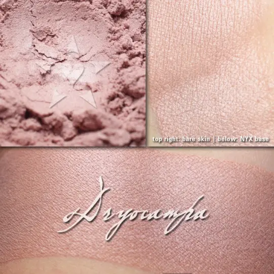 DRYOCAMPA - Multipurpose - Highlighter (Cheek/Face/Eye/Lip Safe)