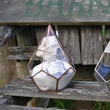 Teardrop Terrarium Kit, medium