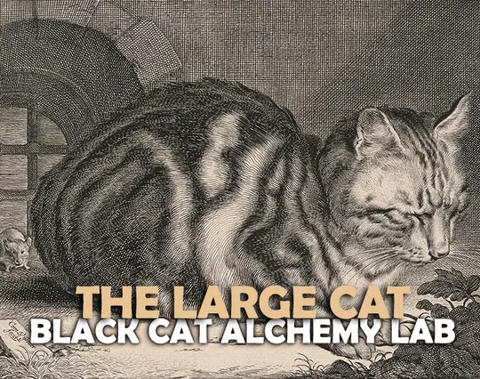 The Large Cat Perfume Oil
