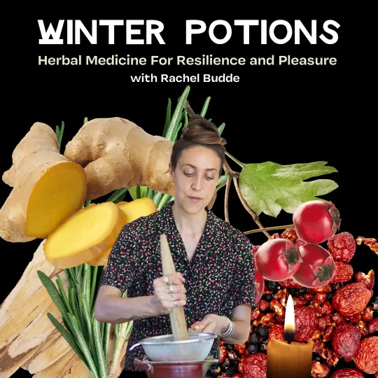 Class: Winter Potions