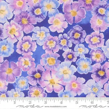 Delphinium