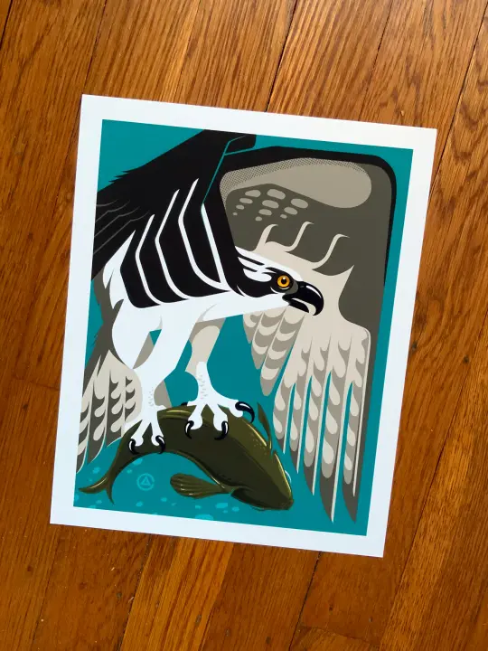 Osprey 8x10 Print