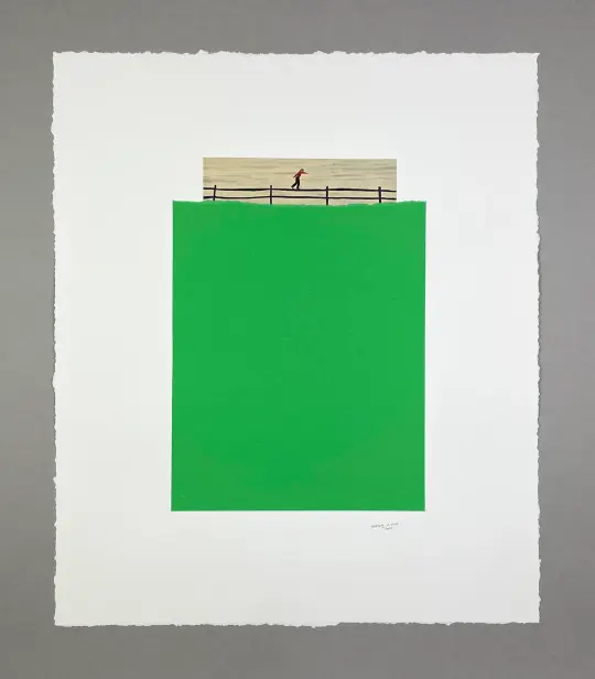 'funINtheFEILDS' Original Collage