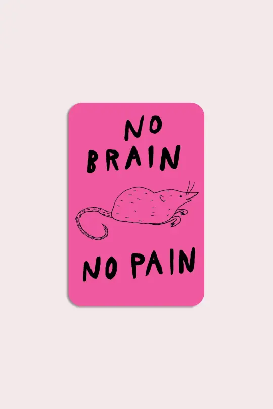 No Brain No Pain Vinyl Sticker
