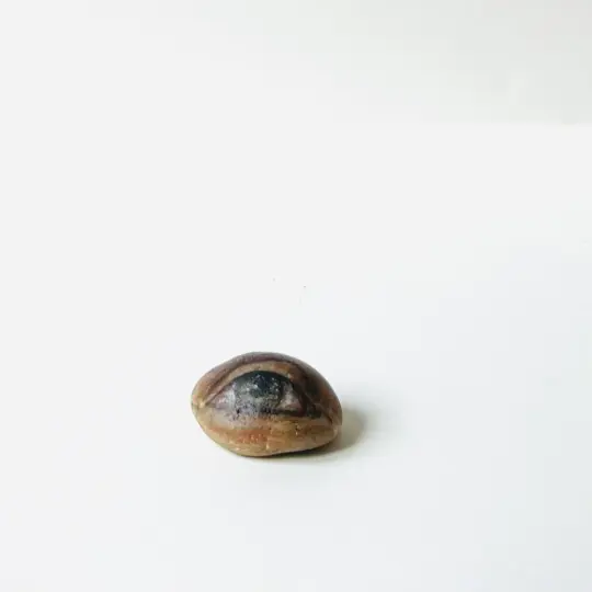 8 (eye)