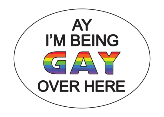 Ay I'm being gay over here Bumper Sticker