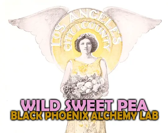 Wild Sweet Pea Perfume Oil